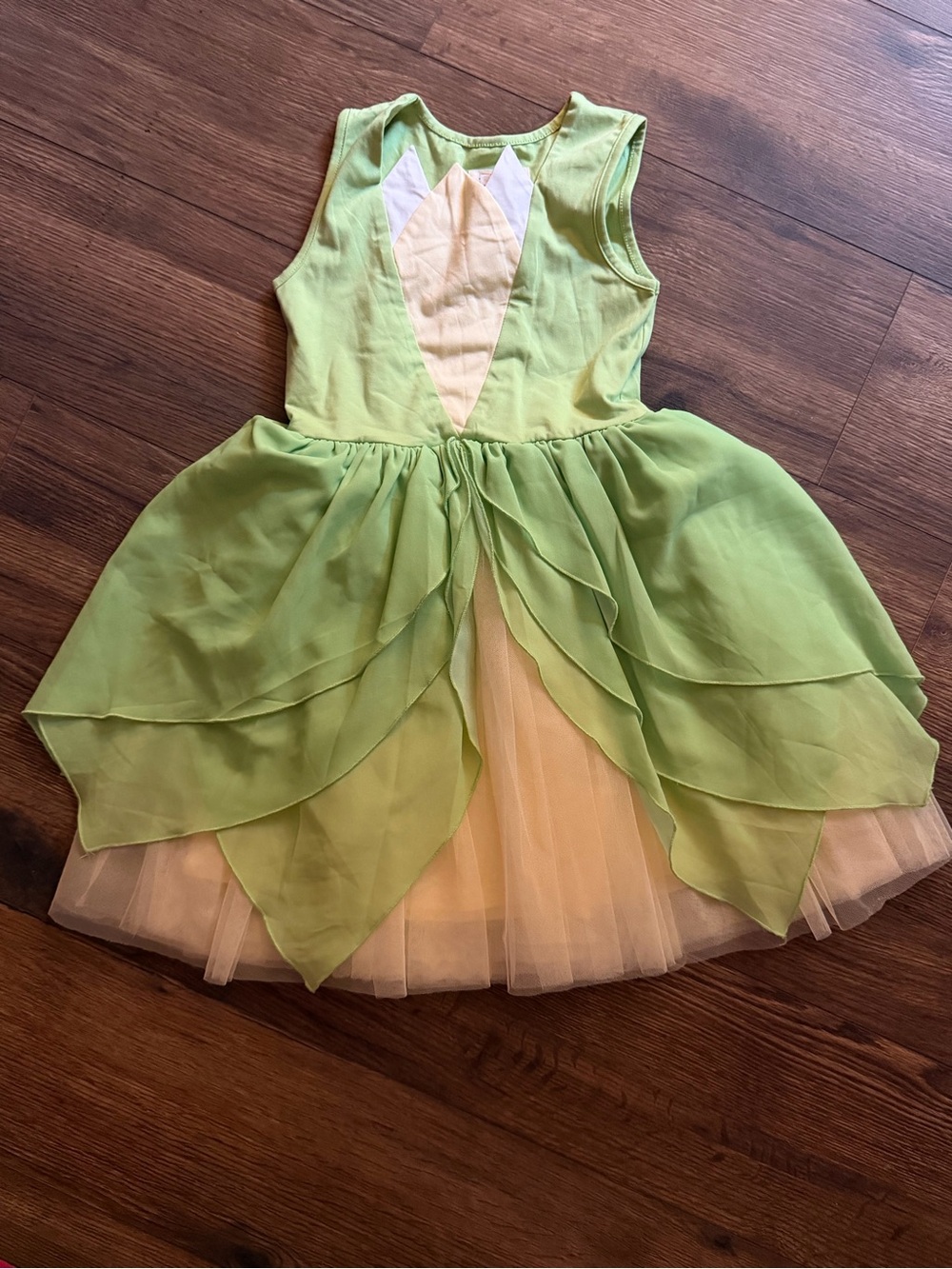 Taylor Joelle Princess Tiana Inspired Dress